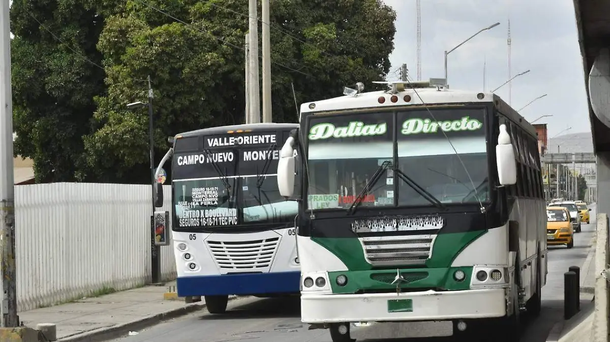 05 Se atenderá por WhatsApp quejas a transporte público